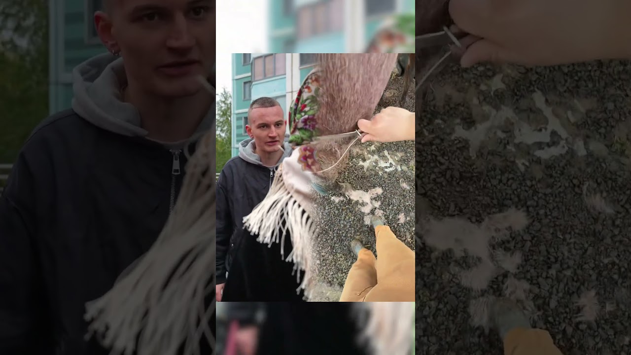Эля будет жива