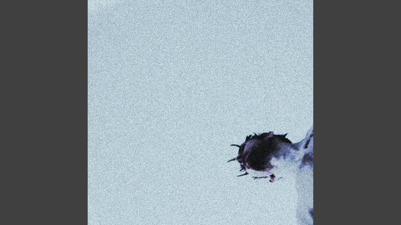 Mud
