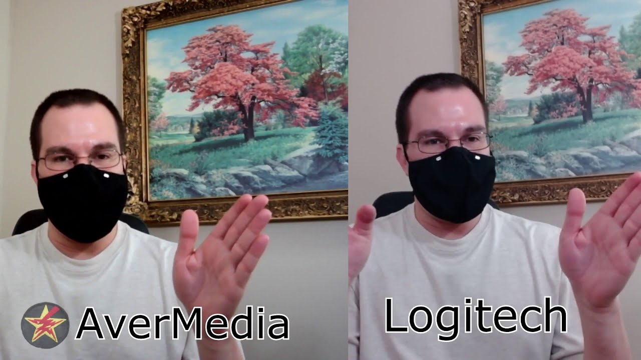 AverMedia Live Streamer CAM 313 vs Logitech C90 Sample footage