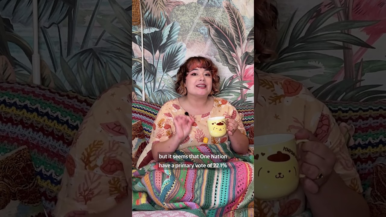 What the South Australian election means for One Nation