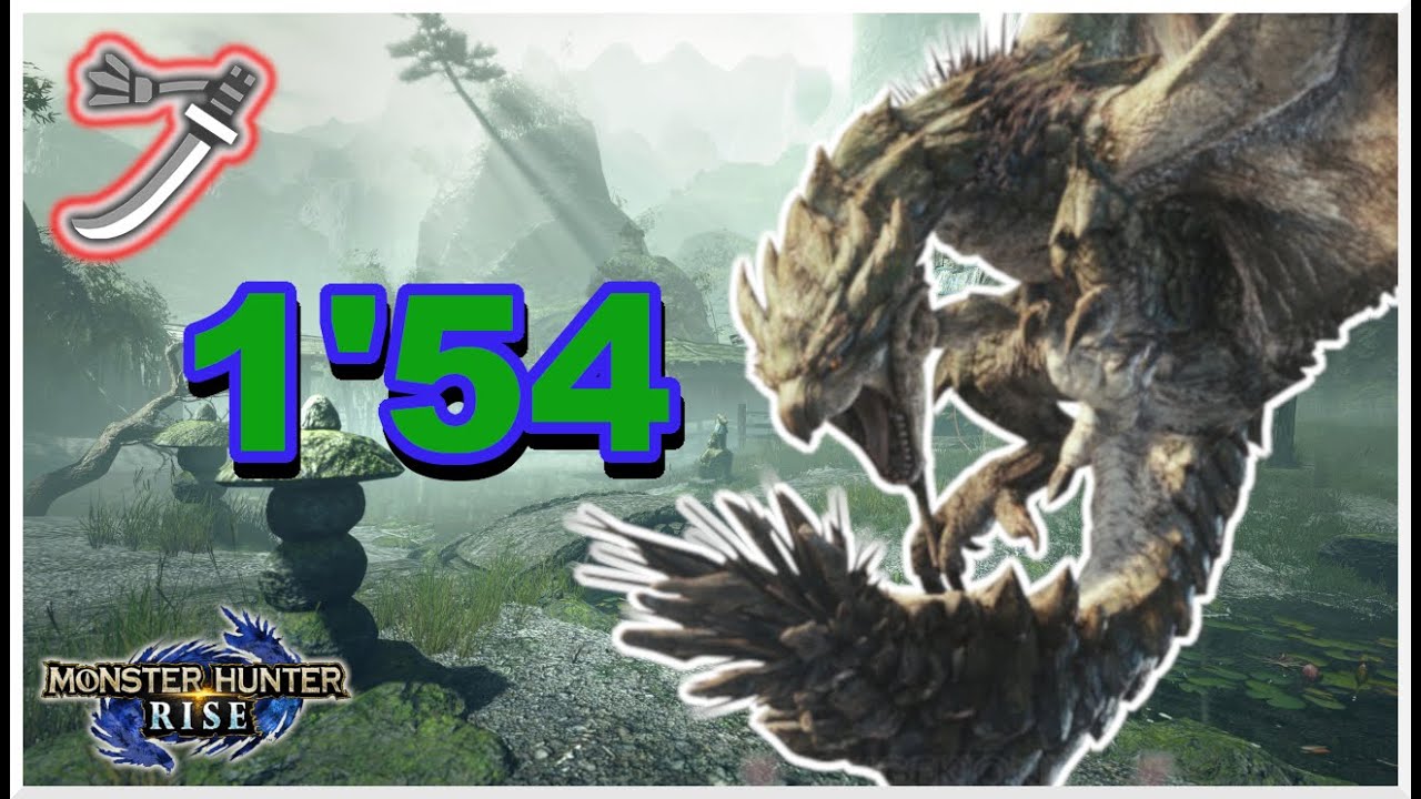 Rathian Speedrun Long Sword Monster Hunter Rise