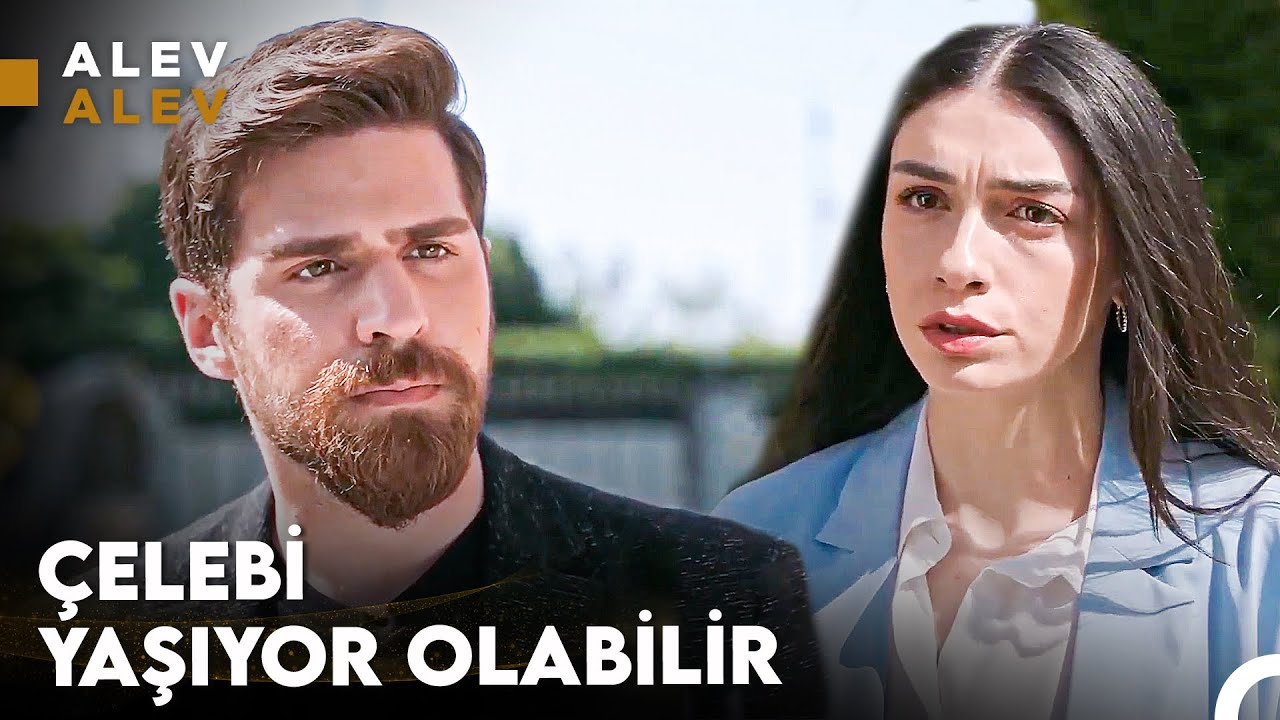 Gizli Kalmayan Gerçekler - Alev Alev