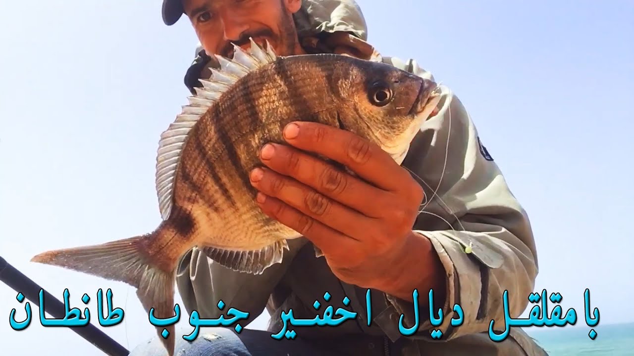 P&ecirc;che a akhfennir sud TanTan - البحث عن بامقلقل باخفنير جنوب طانطان