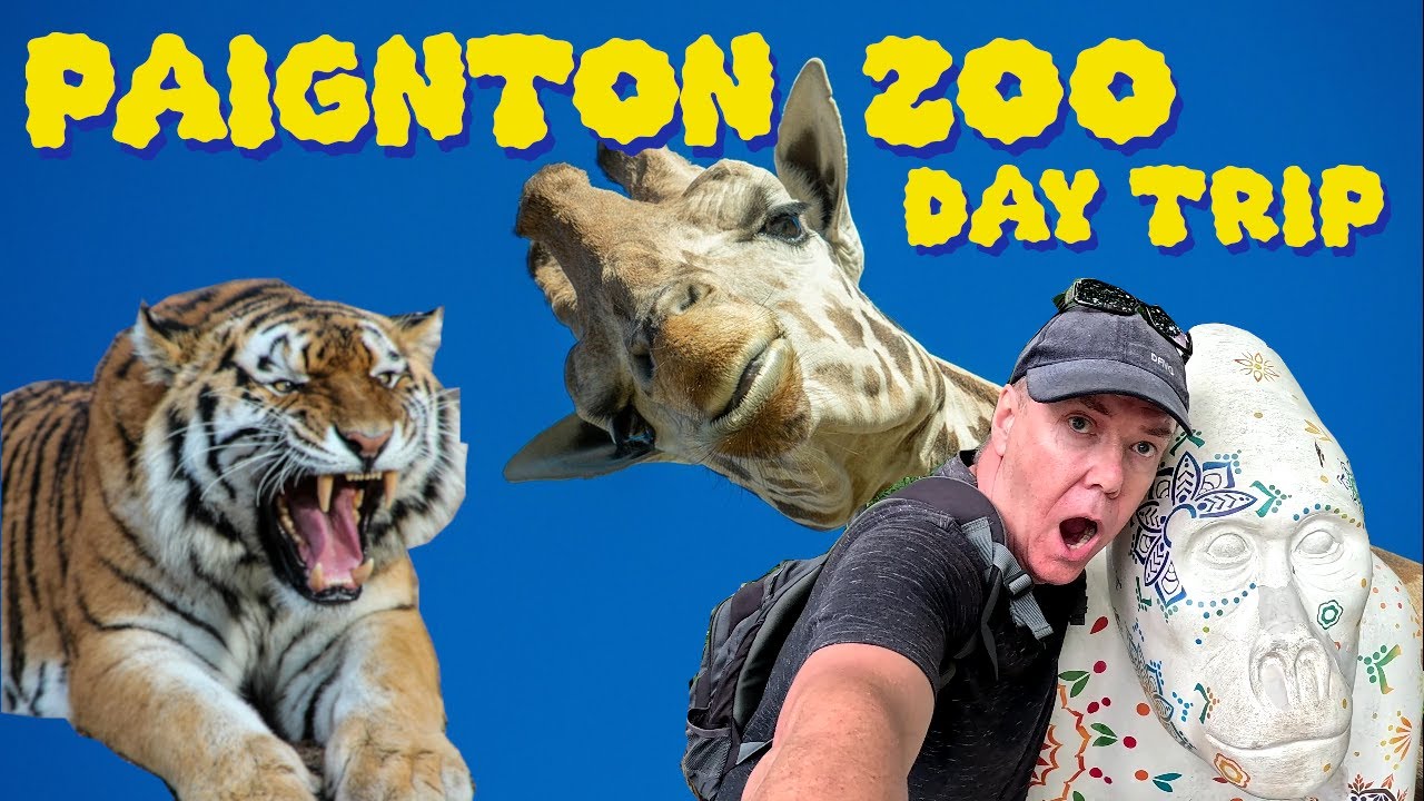 Paignton Zoo Day Trip - Day Tripper Daz at one of Britain's largest zoos.