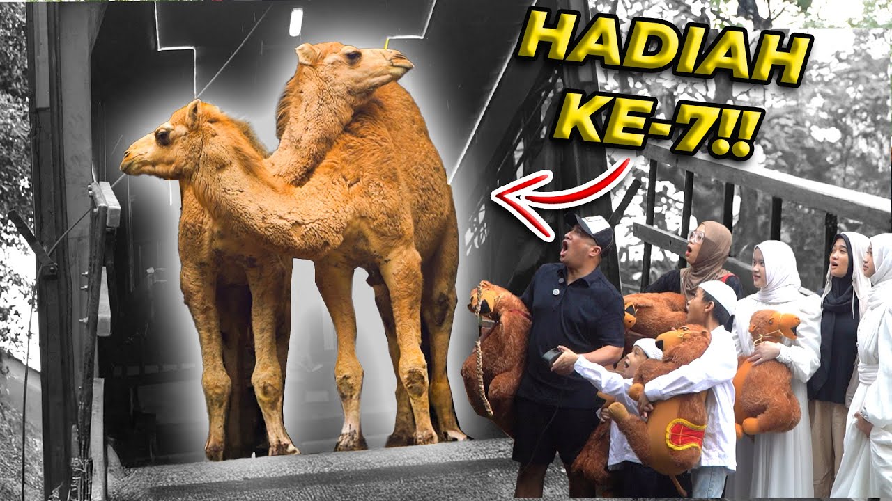HADIAH ANNIV 7 | INI DIA KEJUTAN YANG PALING BIKIN GW TERKEJUT..!