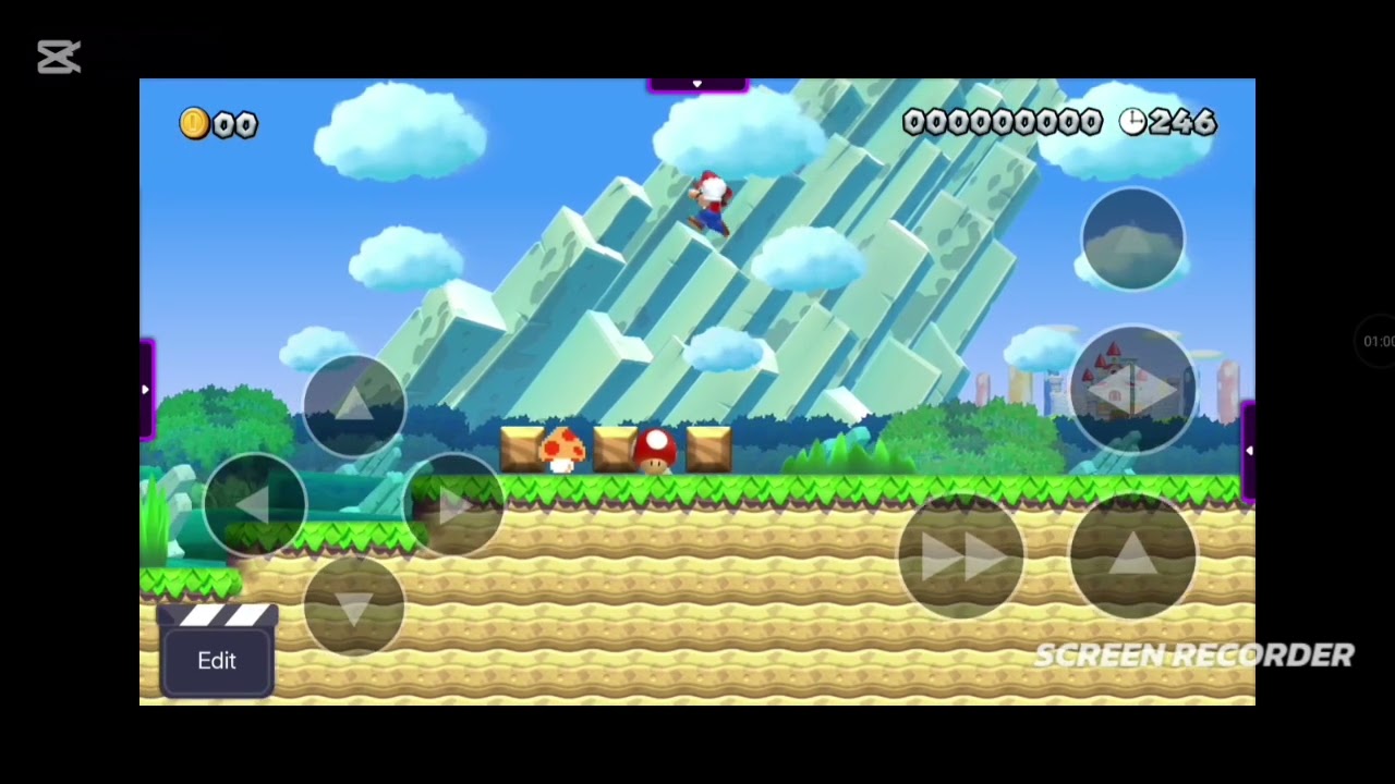 Dos bugs de wonder maker