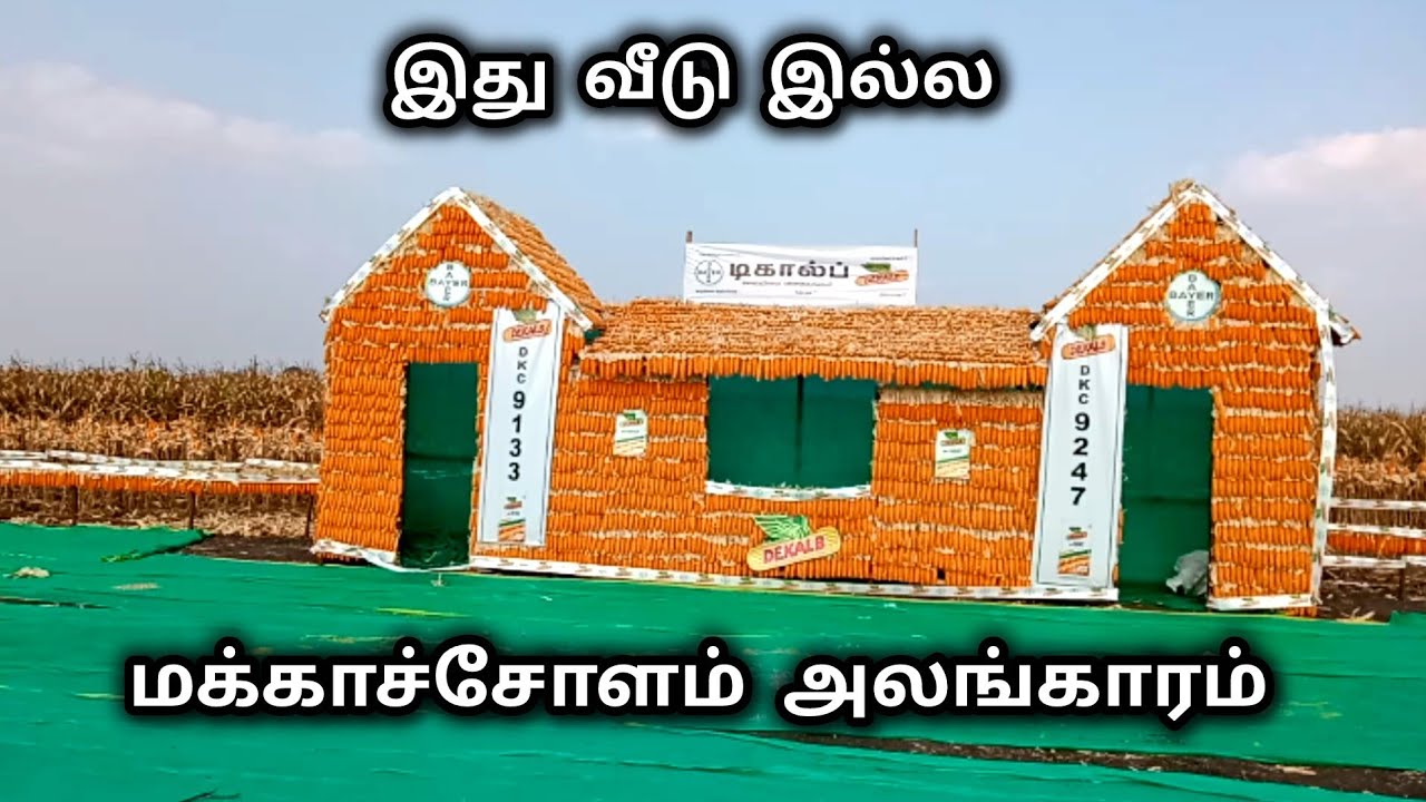 இந்த மாதிரி யாரும் பார்த்து இருக்க மாட்டீங்க 