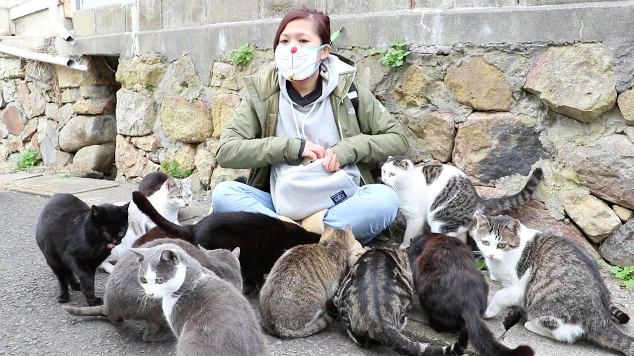 Girl Swarmed by Cats on Japan's Cat Island!