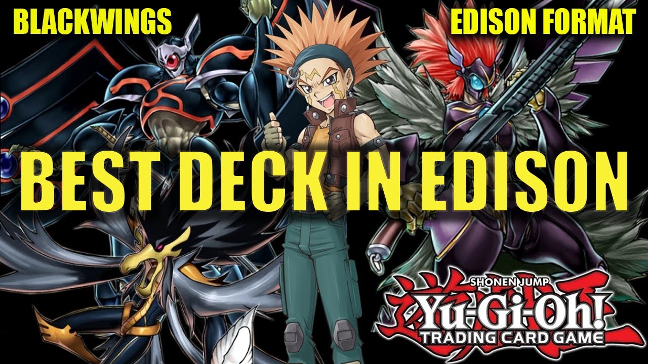 Blackwing Deck Profile INSANELY POWERFUL| Edison Format | Yu-Gi-Oh!