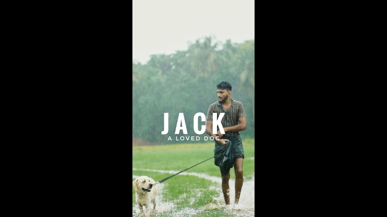 JACK A Loved Dog Vertical short video