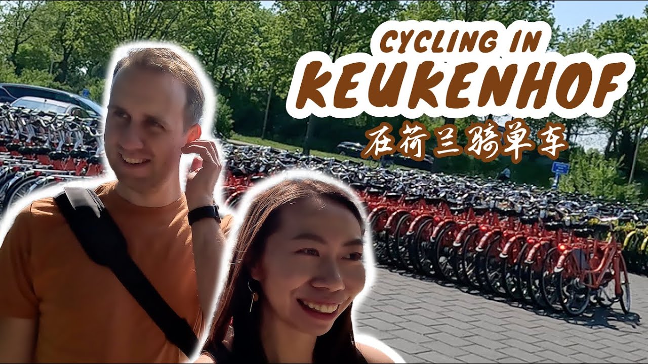 Cycling 20km in the Netherlands｜Day trip to Keukenhof from Amsterdam |  在荷兰骑单车