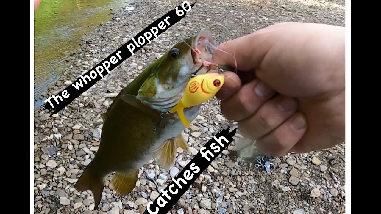 The Whopper Plopper 60