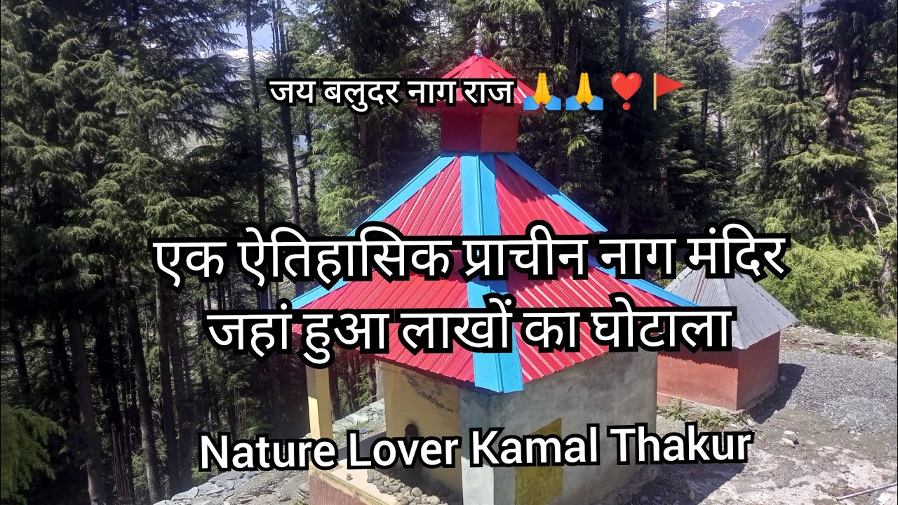 ग्राम पंचायत गुवाड़ी के नाग मंदिर सल्हान में बहुत बड़ा घोटाला @NatureLoverKamal