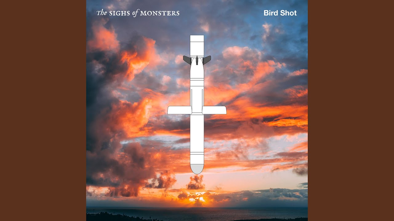 Bird Shot
