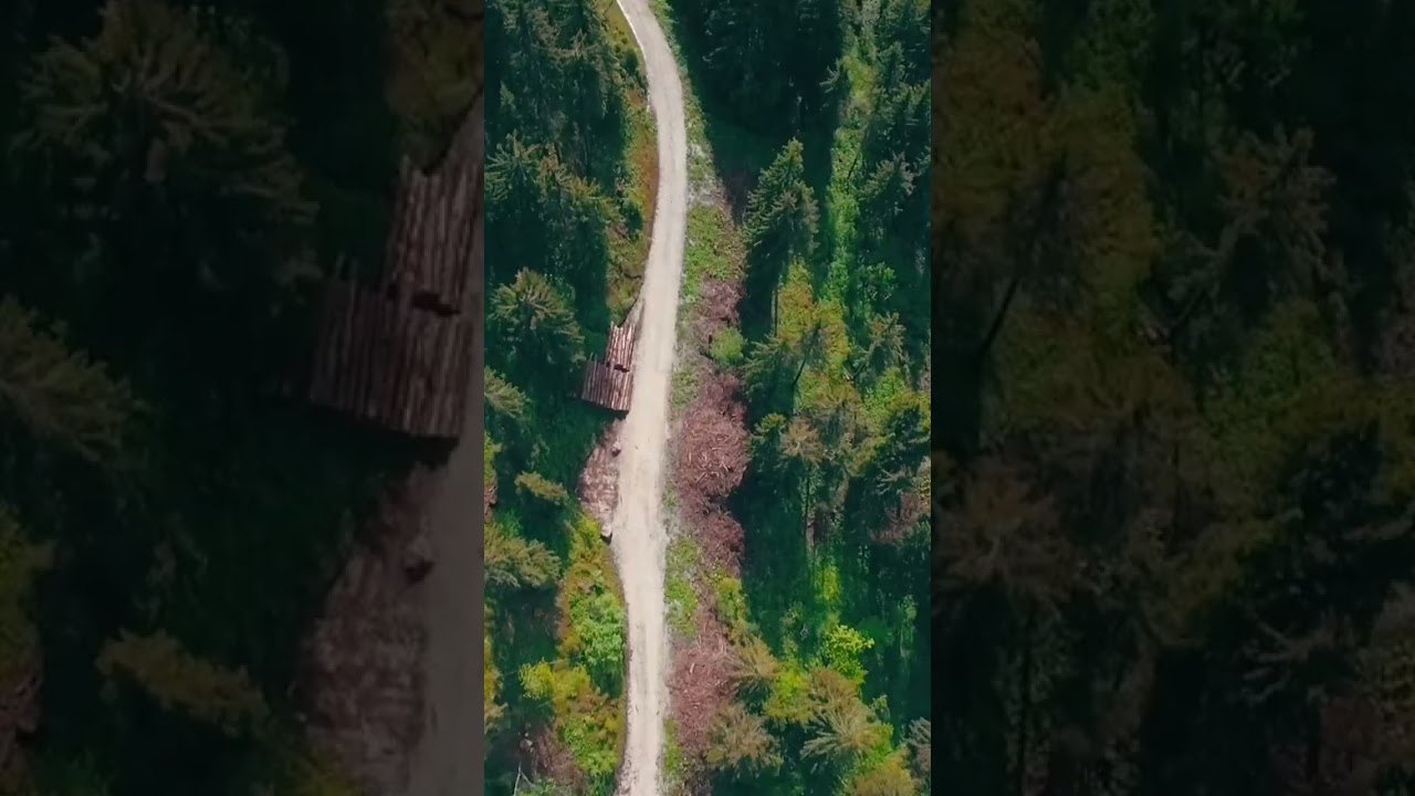 beautiful moment#forest#beach#virel 4k video