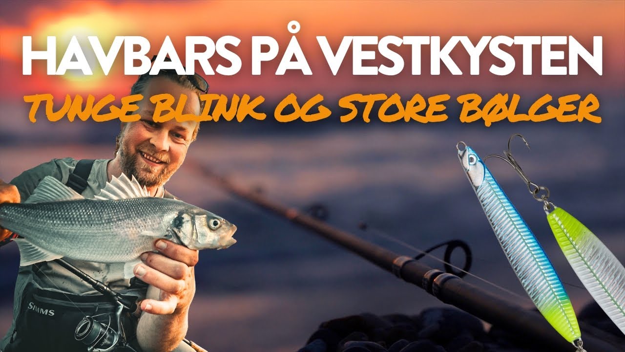 SÅDAN FANGER DU HAVBARS - Havbars fra Stranden