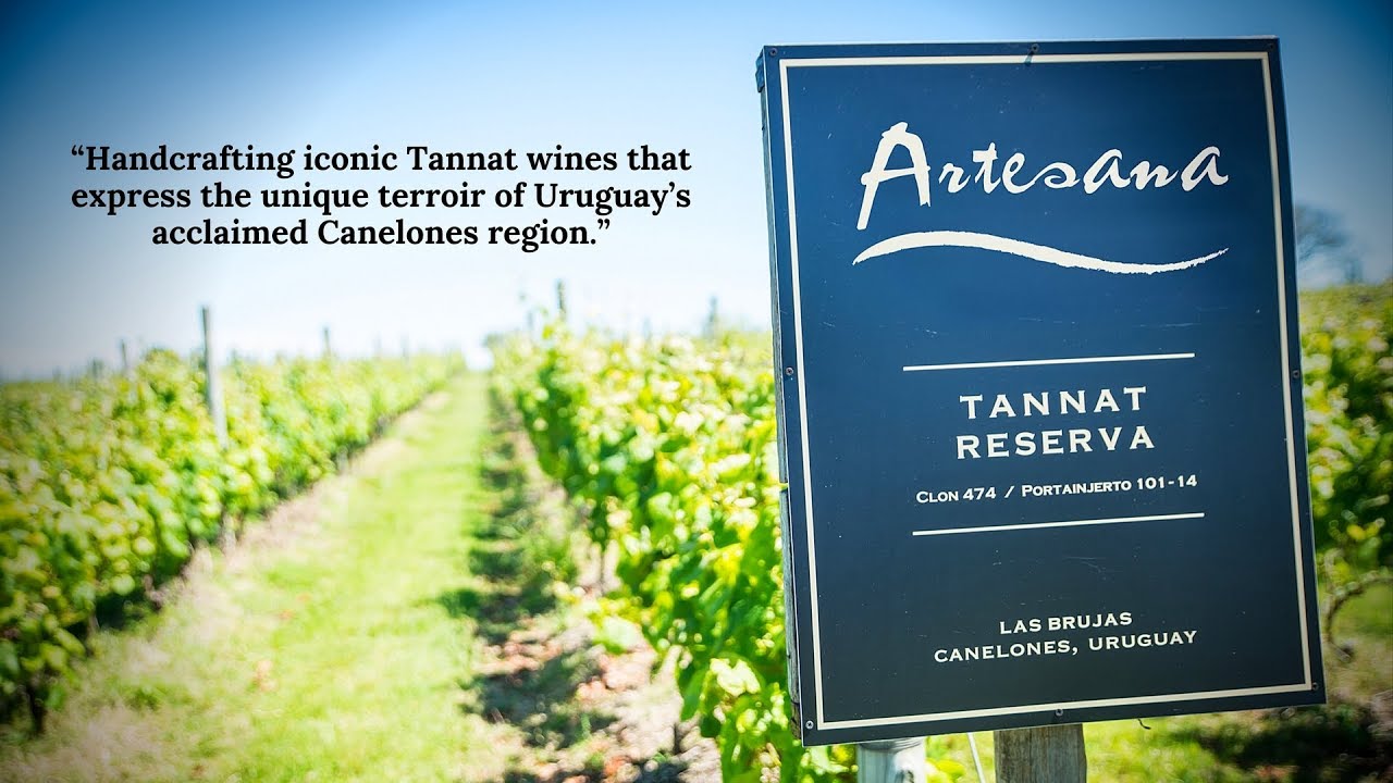 Taste the Best Wines of South America with Artesana Winery in Uruguay