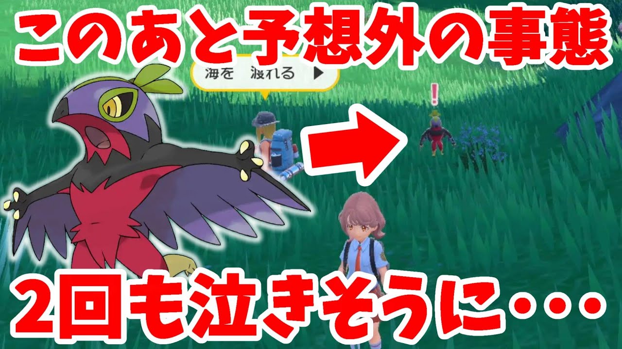【ポケモンSV】突然の色違いきたー！けど様子がおかしくて泣きそうになりました！【ポケモンスカーレットバイオレット】