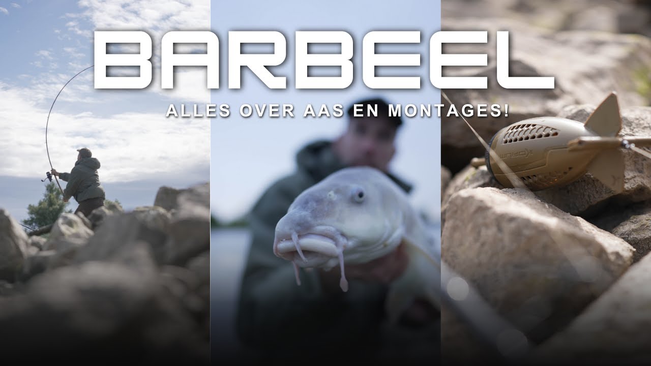 Barbeel  - Alles over Aas en Montages
