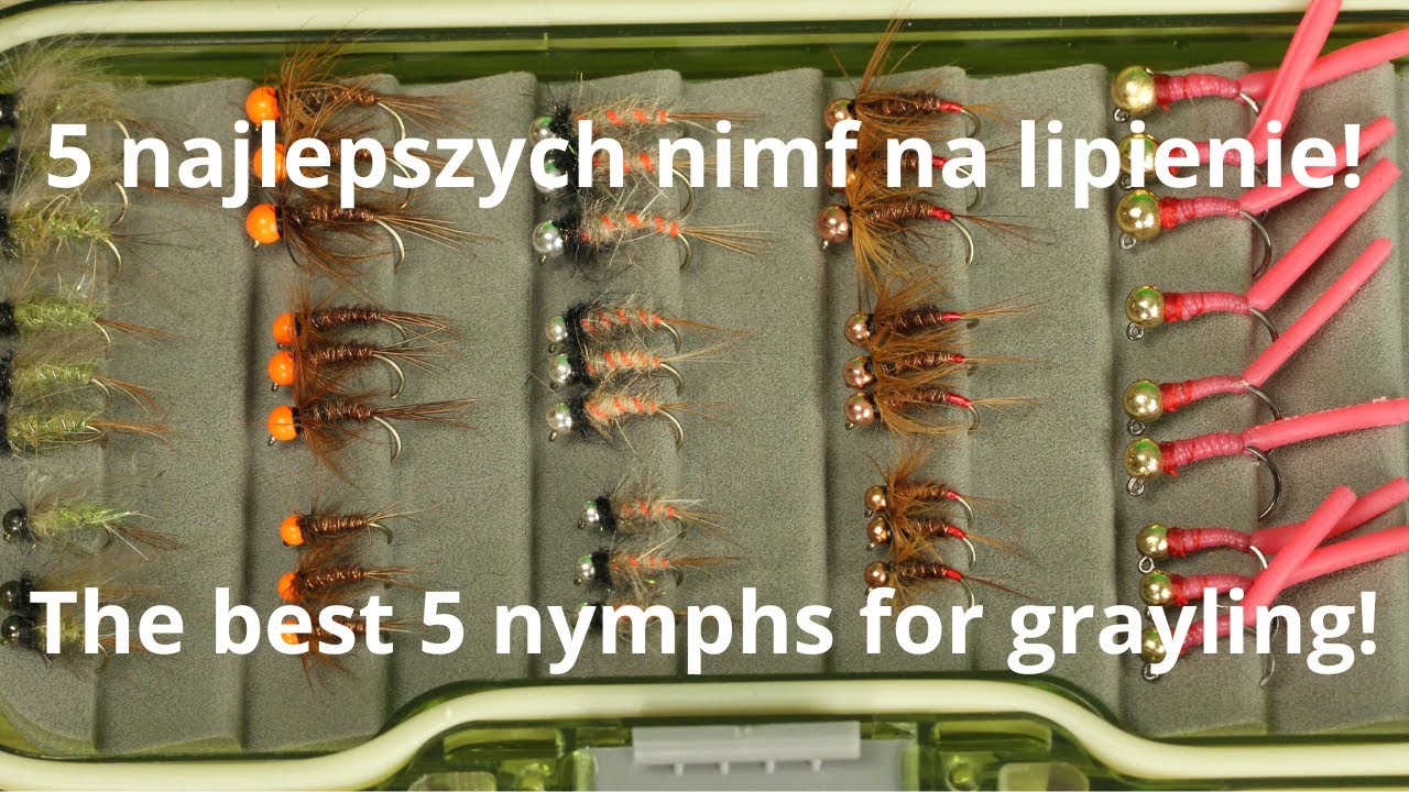 5 najlepszych nimf na lipienie! The best 5 nymphs for grayling!