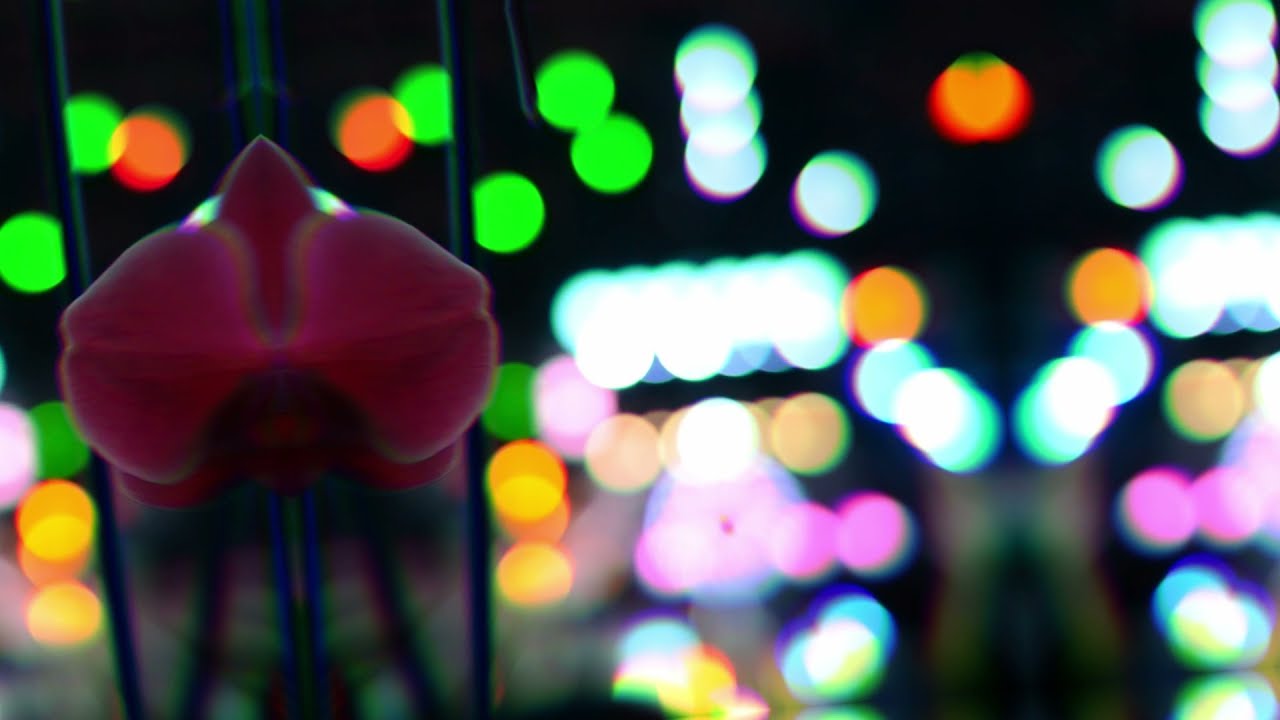 Bananas & Pears (Garden Listener, Qu-Bit Data Bender, Prism, Morphagene, Knit, SWN & Behringer 2600)