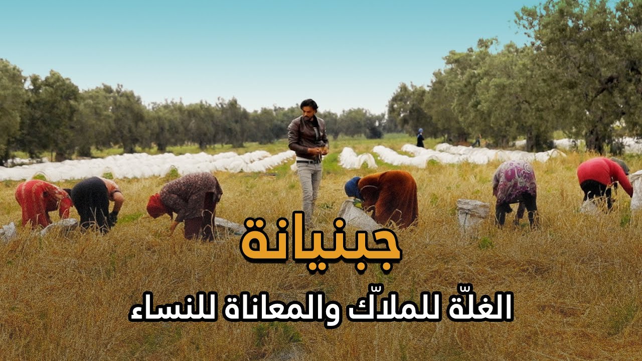 جبنيانة،الغلّة للملاّك والمعاناة للنساء