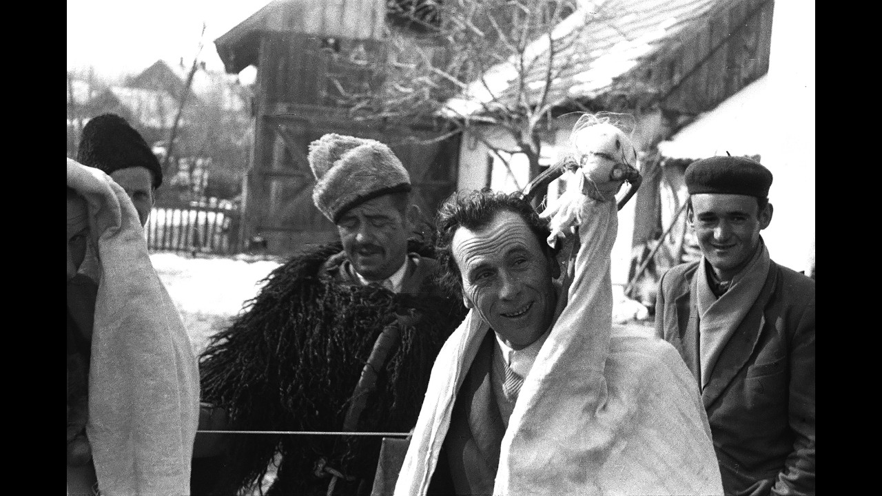 Elfeledett gyökerek nyomában – debreceni kutatók, akik visszatanítják a múltat