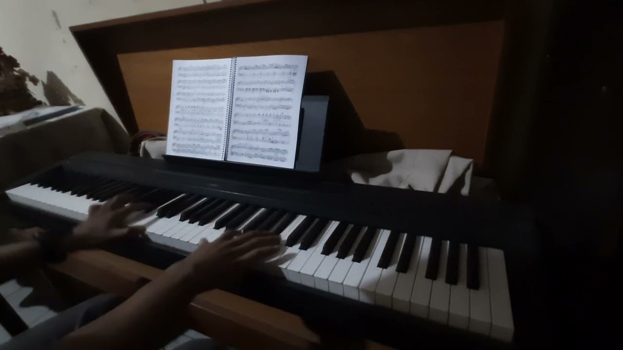 The Wedding Dance Waltz (fragmento piano) - Paul Lincke