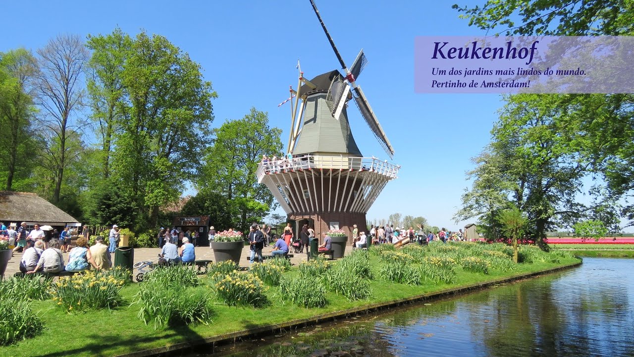 Holanda e o Keukenhof, o jardim de primavera mais lindo do mundo. Ao lado de Amsterdam