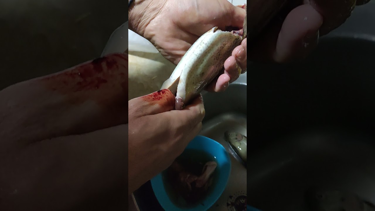 Čišćenje pastrmke za 30 sekundi