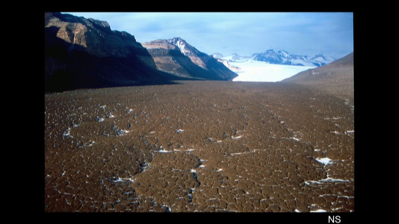 The History of the Martian South Polar Cap - Carver Bierson