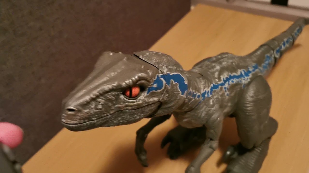 jurassic world Blue Alpha Training Raptor