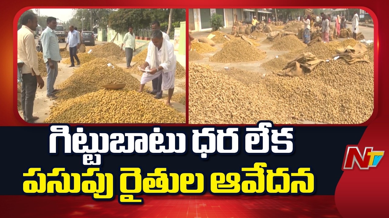 Turmeric Farmers Concerns About Remunerative Prices In Nizamabad District | NTV Telugu