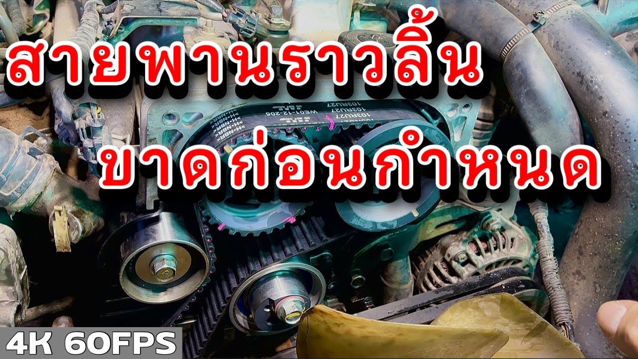 สายพานราวลิ้นขาดก่อนกำหนด เพราะใช้ซีลผิดประเภท? EP.304