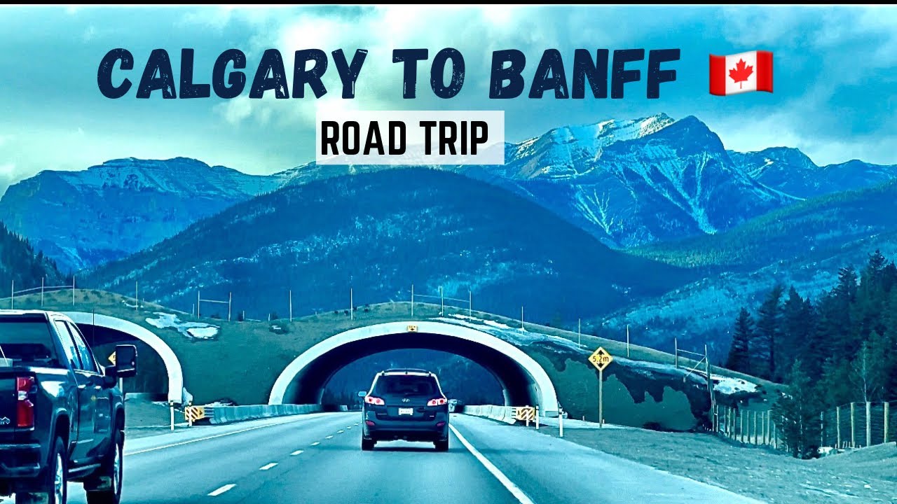 🇨🇦Calgary To Banff Trip | Banff Day Trip From Calgary | 4k video | haya vlog