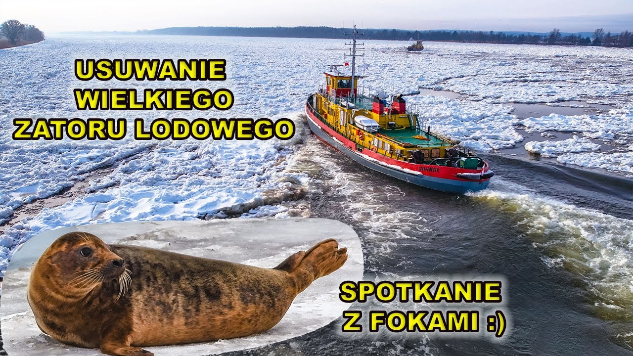 Usuwanie gigantycznego zatoru lodowego na ujściu Wisły.Aż 5 lodołamaczy w akcji.15.1.2026.