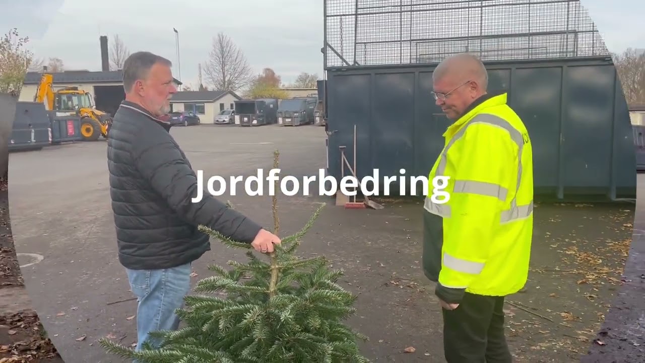 Sortering juletræ - plastik fra Kina og ægte fra Danmark