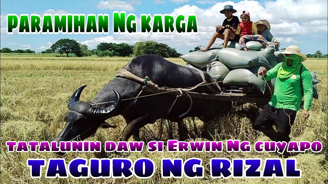 PINAKAMARAMING KARGA CHALLENGE BUHAY BUKID JRTV