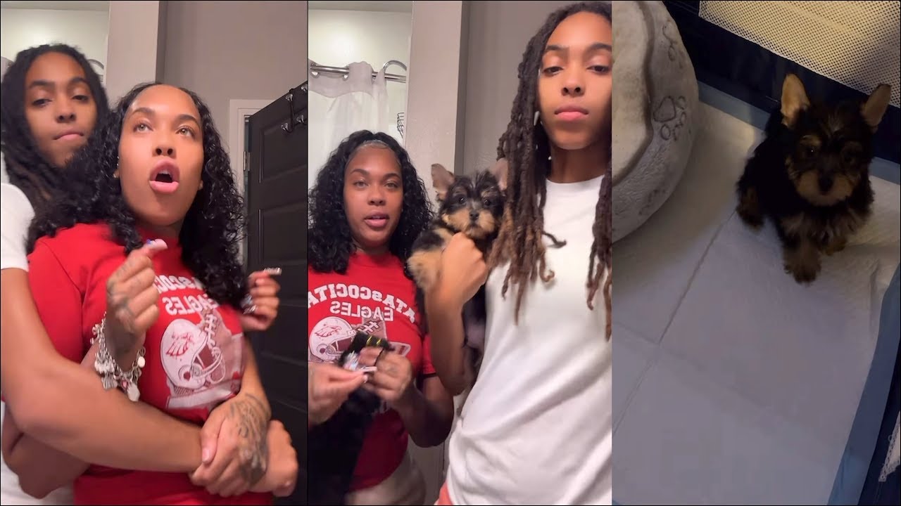 LYNDEJA & DEE GET 🌶️🫣 THEIR NEW 🐶 DID THIS 😳😱🤬