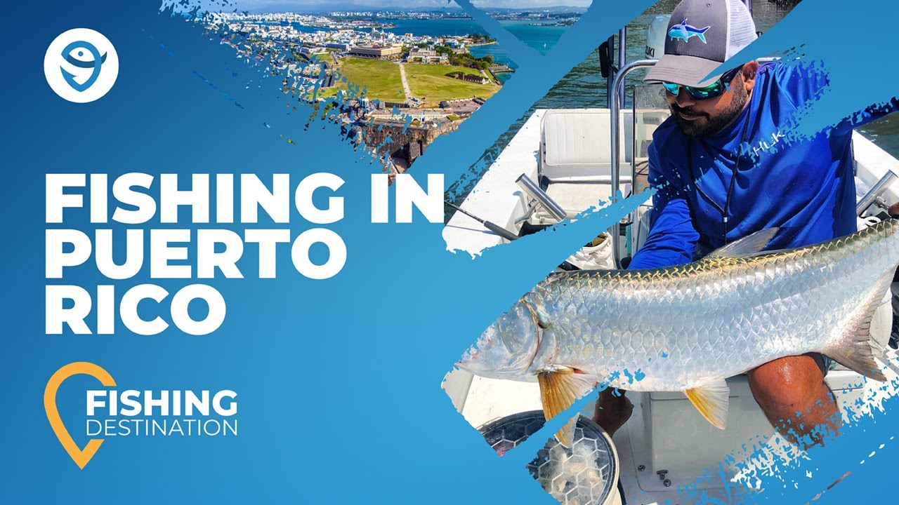 Fishing in Puerto Rico: All You Need to Know | FishingBooker