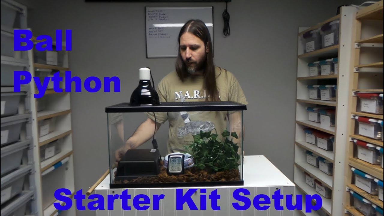 Ball Python Starter Kit Setup for Beginners