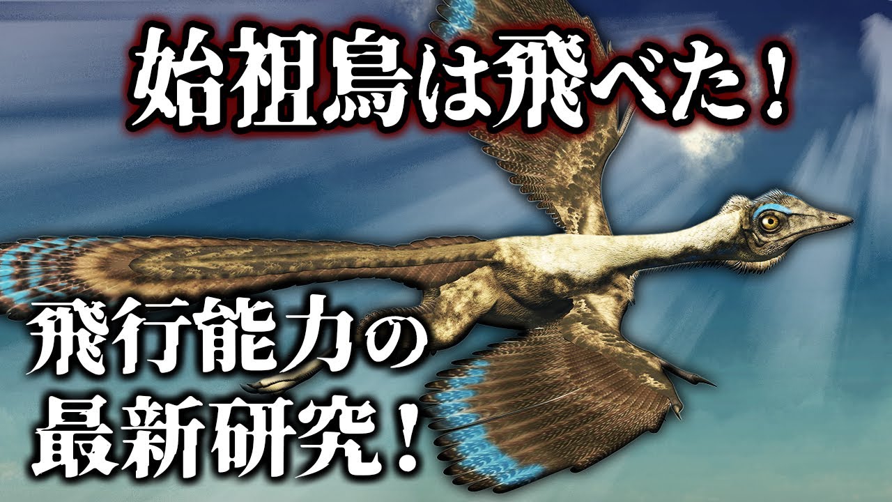 【ゆっくり解説】最新研究で判明！始祖鳥が持っていた〇〇構造とは？！