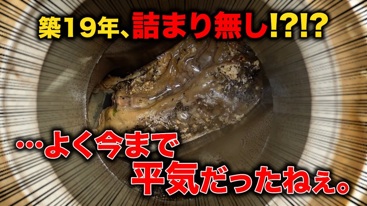 配管の中は油たっぷり！！築19年、詰まりなし！？よく今まで平気だったね！【花のお掃除 