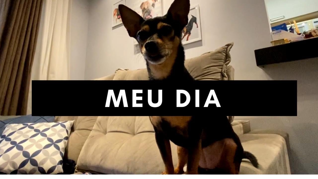 Bem vindos ao nosso dia a dia!