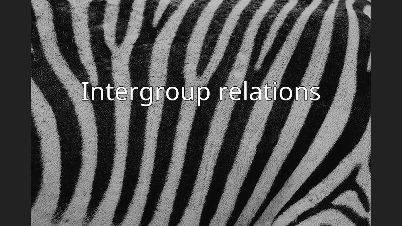 Intergroup relations