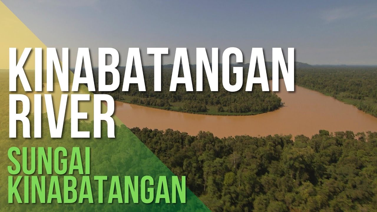 Kekayaan Sungai Kinabatangan di Sabah (Amazing Kinabatangan River)