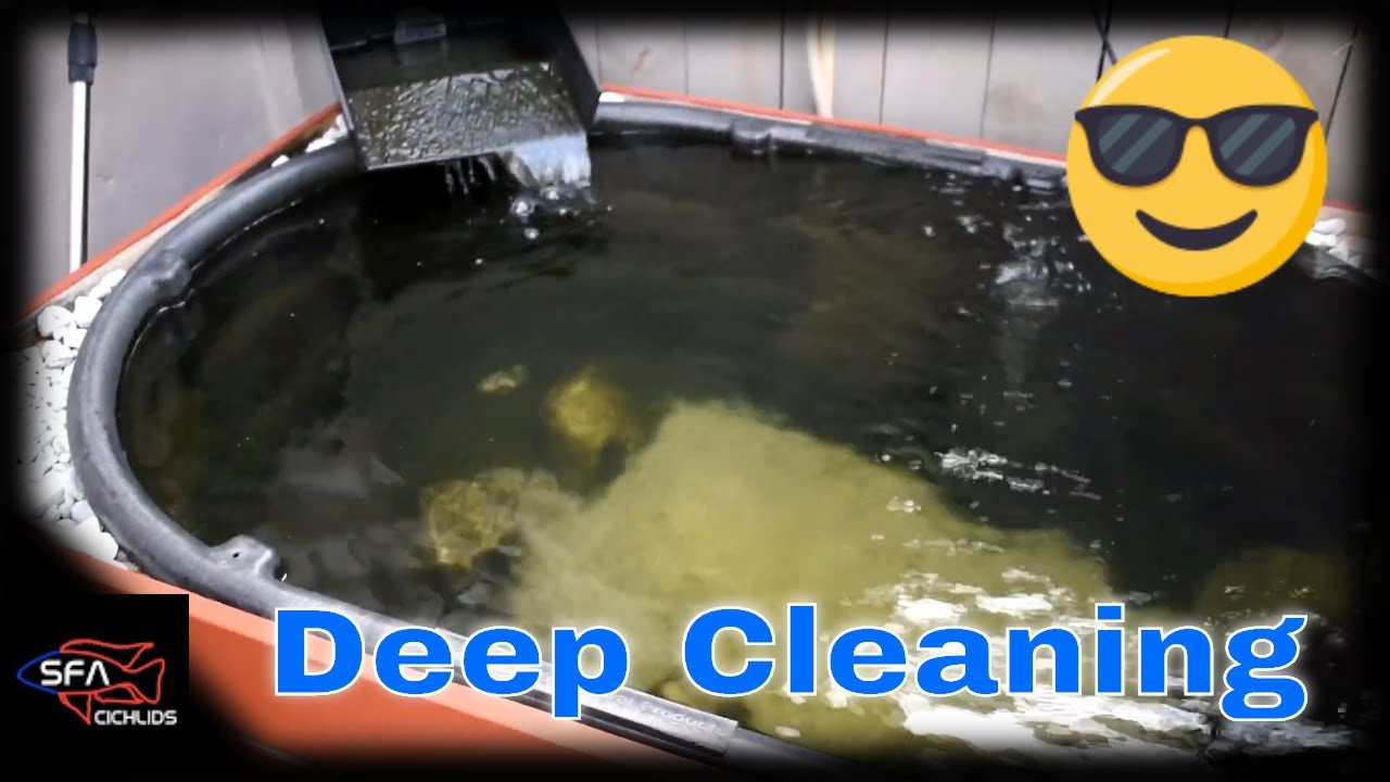 150 Gallon Pond Cleanup and Update!! New fish coming soon