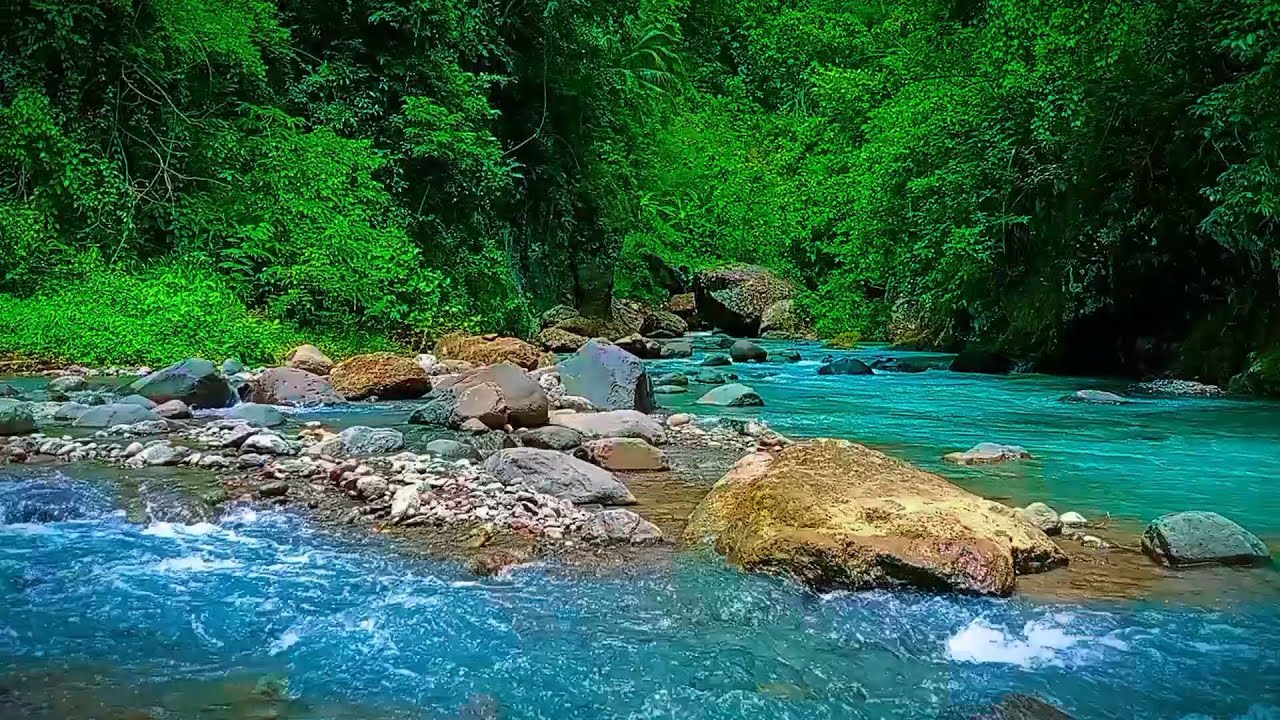 Serene Nature Escape Soft Melodies and Calm River Flow for Ultimate Tranquility