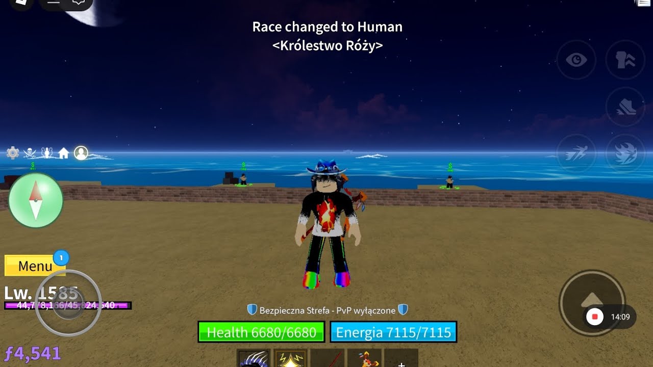 Playing blox fruits 