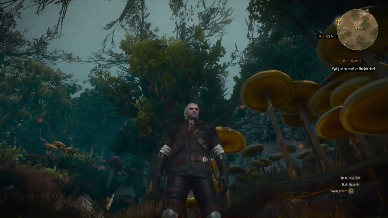 The Witcher 3 - Somebody overdone it with fisstech